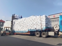 把握機(jī)遇、鉚足干勁、承勢而上