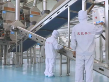 2025年的第一個(gè)月，承德亞歐果仁有限公司在山杏產(chǎn)業(yè)的道路上持續(xù)奮進(jìn)，展現(xiàn)出蓬勃的發(fā)展活力。